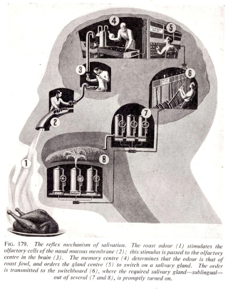 Illustration for article titled Fritz Kahn's Whimsical Infographics Turn People Into Contraptions